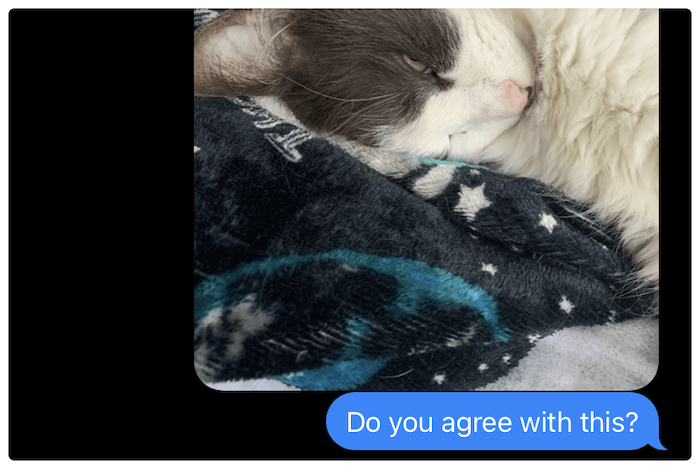 Showing the bubble color in iMessage.