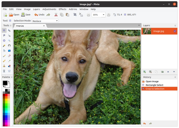 Linux Painting Tools Pinta