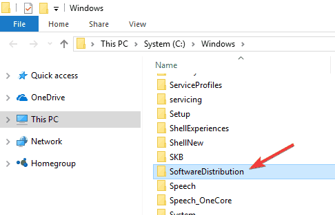 Upgrade Windows 10 Deleting Software Distribution Files