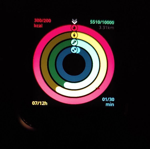 Virmee Tempo Vt3 Plus Smart Watch Review Stats