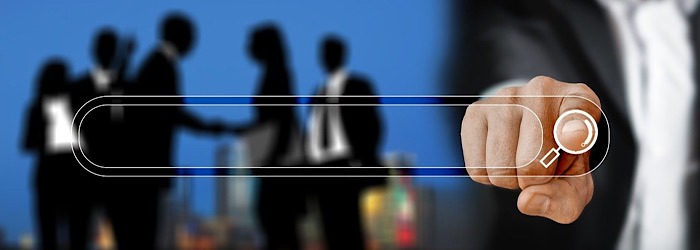 Brave Search Engine Search Bar