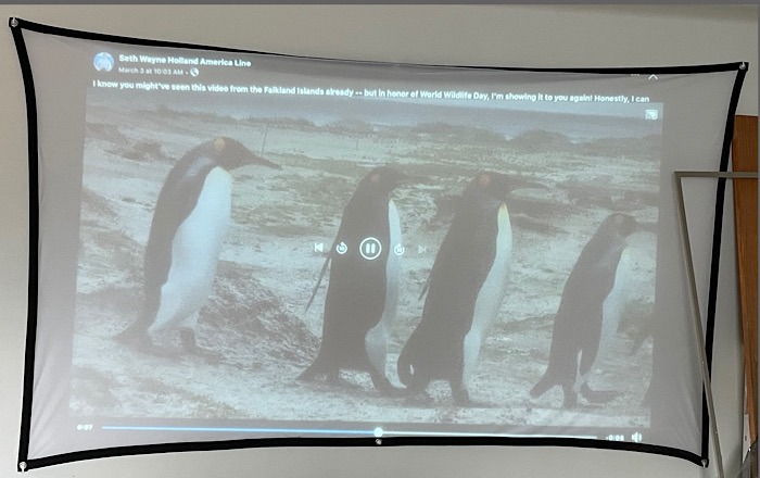 Dr J Projector Screen