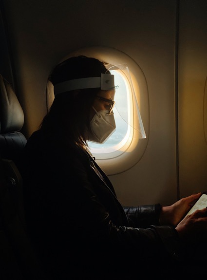 Virtual Virus Airline