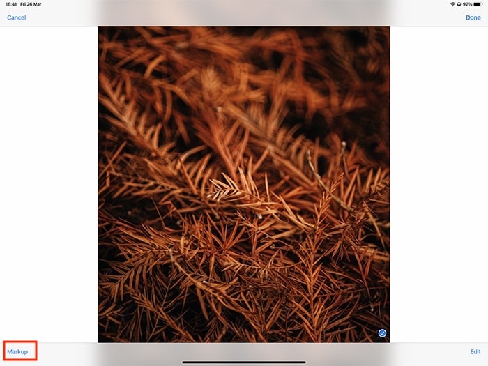 Markup Ipad Annotating Photo