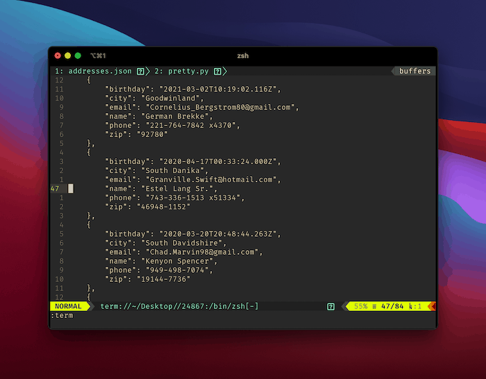 Terminal output showing pretty printed data.