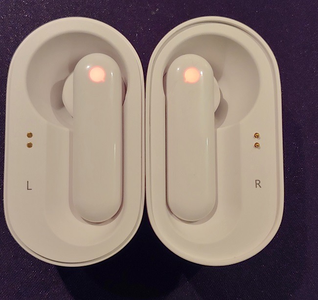 Timekettle M2 Language Translator Earbuds Review Case