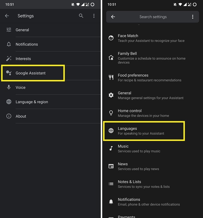 Google Assistant Voice Change Settings