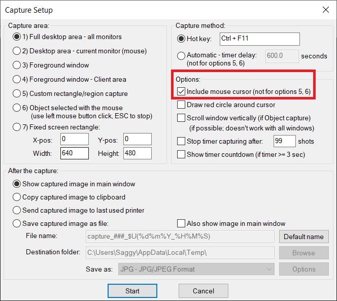 Include Mouse Cursor Irfanview