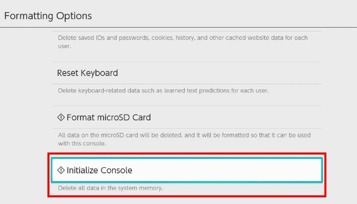 Nintendo Switch Formatting Options