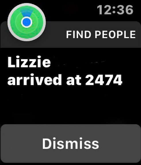 Location Sharing Ios Apple Watch2