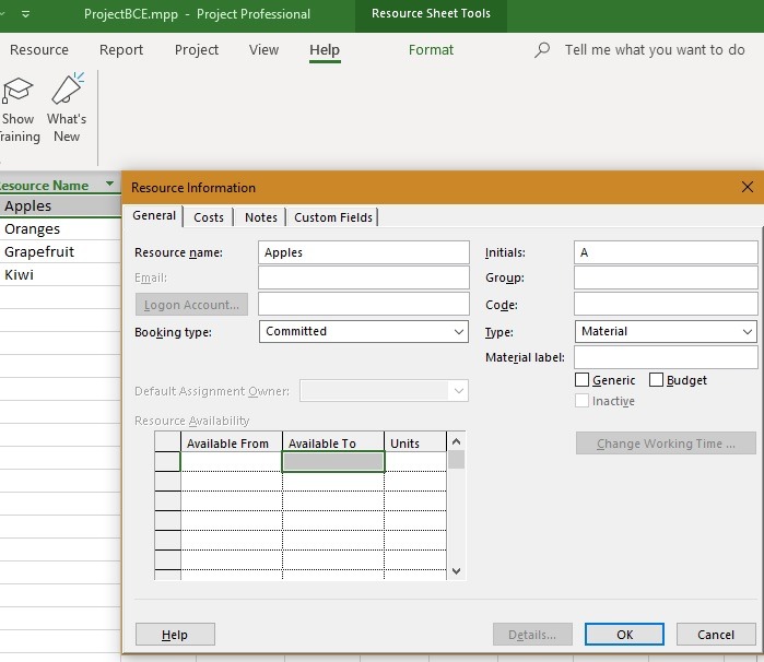 Microsoft Project Display Resource Information