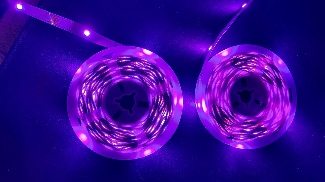 Daybetter Smart Led Light Strips Review Featured Final