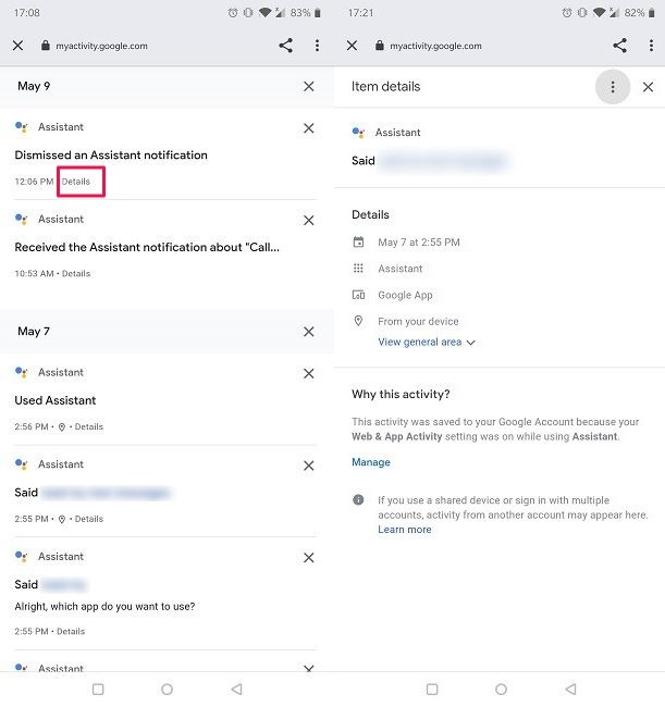 Erase Googgle Assistant Voice Commands Item Details
