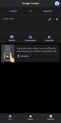 The Google Translate app screen.