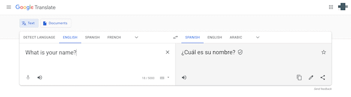 The Google Translate app.