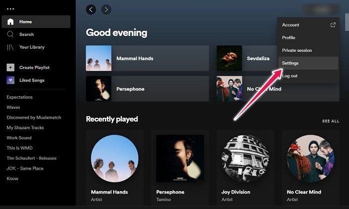 Hide Spotify Listening Activity Desktop Settings 1