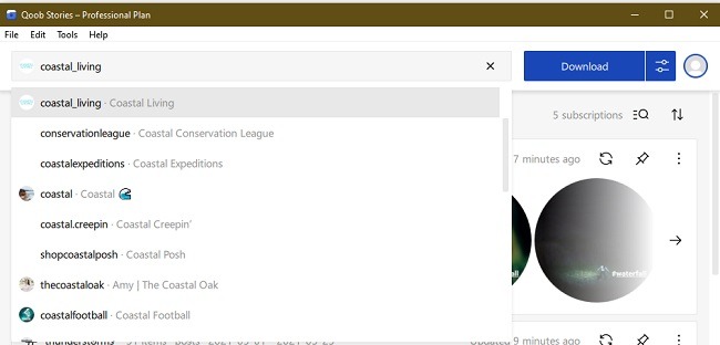 Qoob Stories Review Instagram Downloader Results