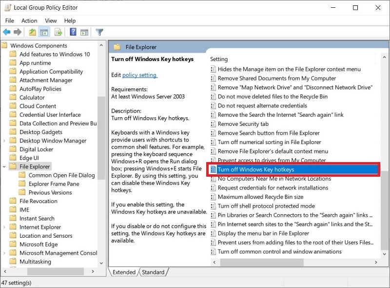 Turn Off Windows Hot Keys