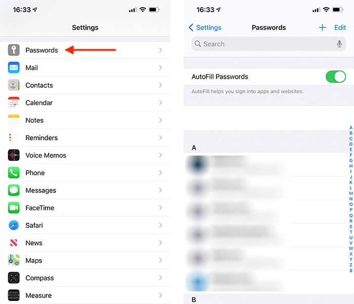 View Saved Passwords Keychain Settings App Ios