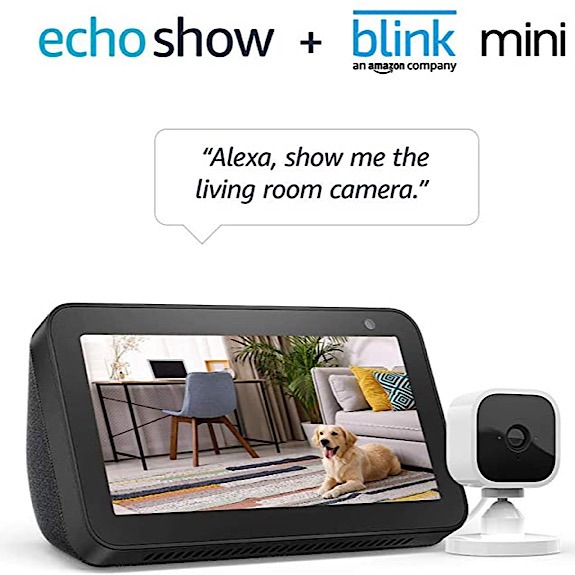 Echo Show Blink Mini Combo