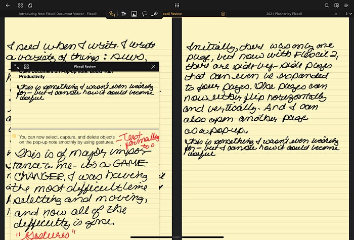 Flexcil Review Page Views
