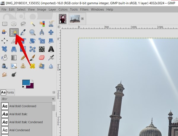 Gimp Enable Path Tool