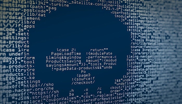 Vigilante Malware Executable