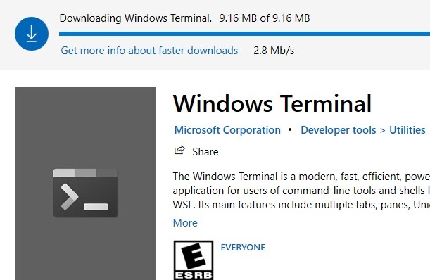 Windows Terminal Downloading