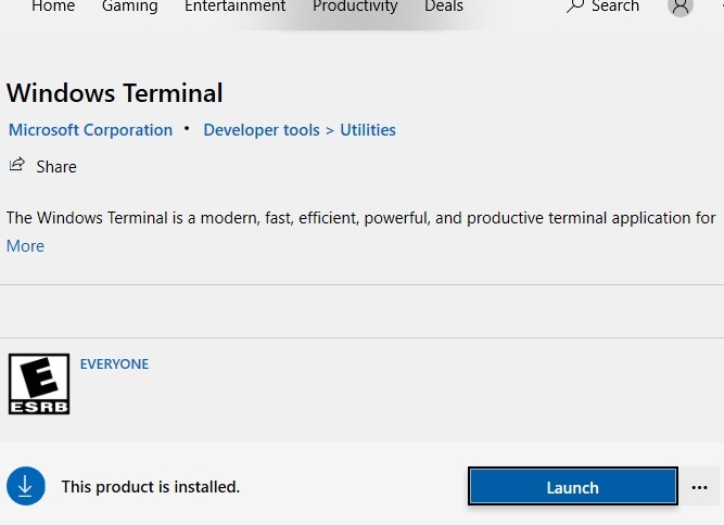 Windows Terminal Launch