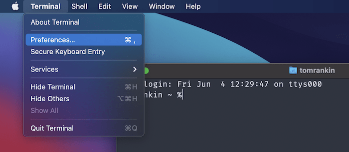 The Terminal Preferences option.