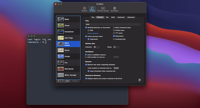 The Terminal's Window settings.