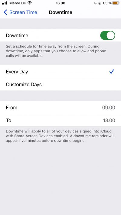 Screenshot showing custom settings for Downtime on iPhone