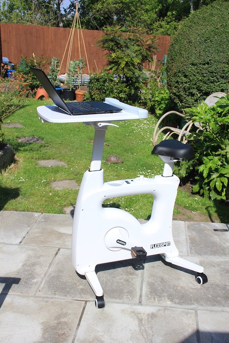 Flexispot Deskcise Whole