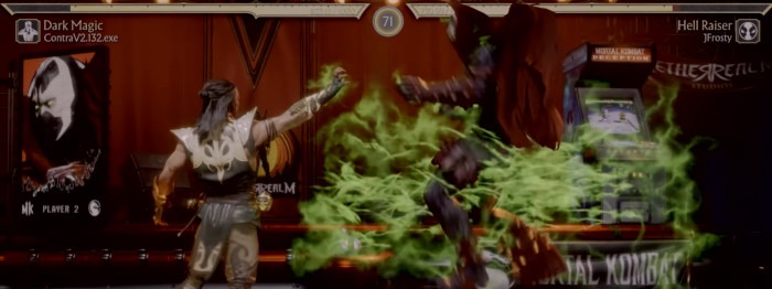 Gaming Glossary Fighting