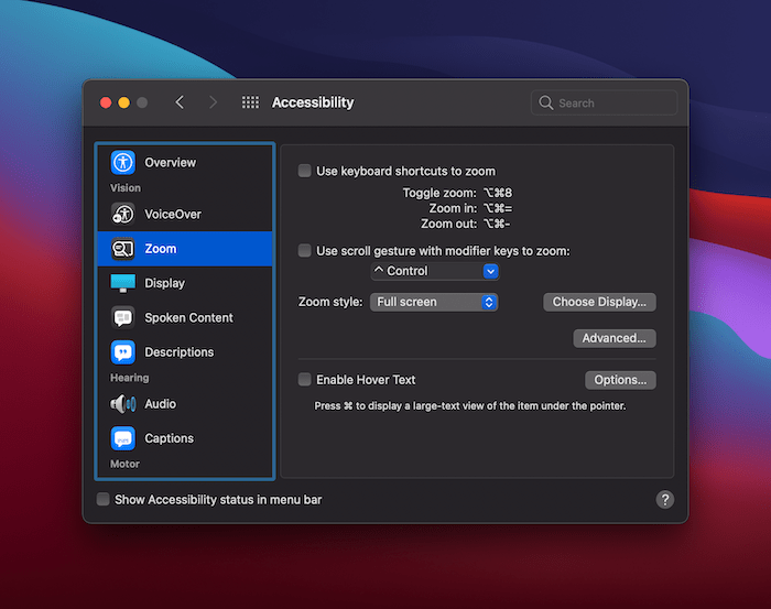The Zoom Panel within the Accessibility screen.
