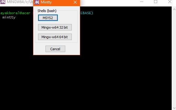 Mintty emulator interface overview.