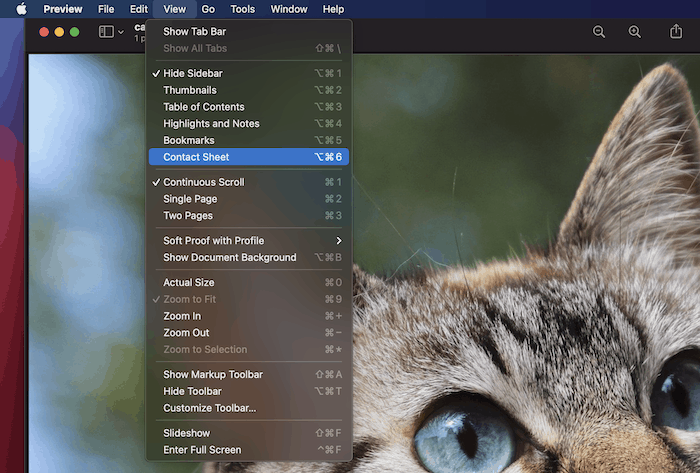 The Contact Sheet view.