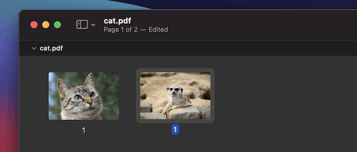 Two PDFs within a contact sheet.