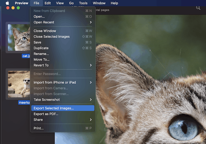 The Export Selected Images option.