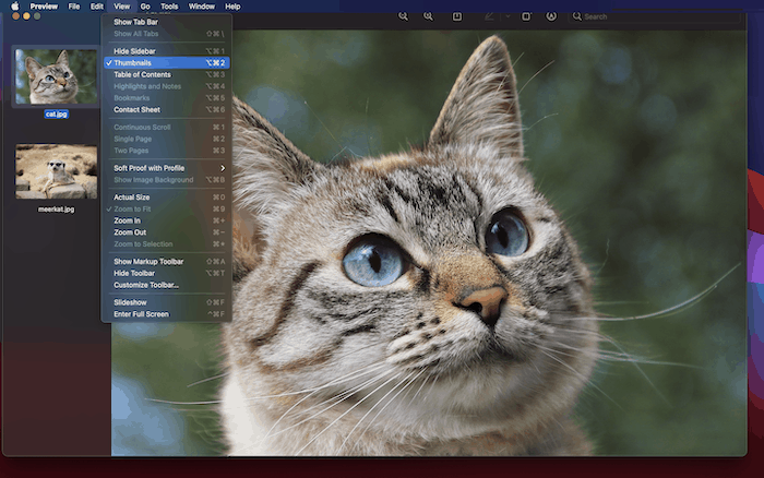 The Thumbnails option within Preview.
