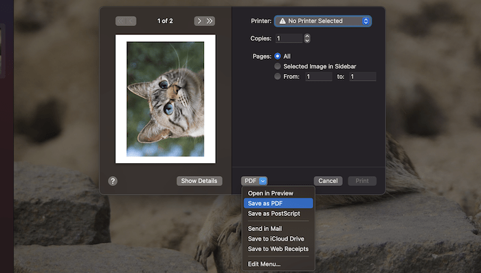 The Save as PDF option.