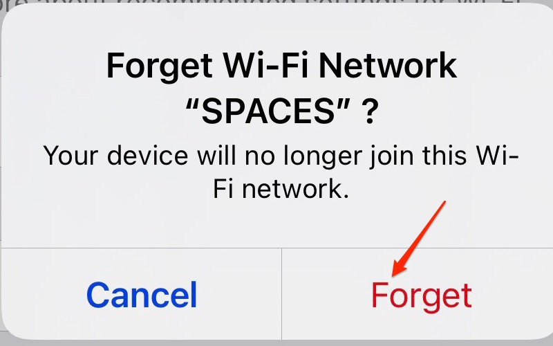 Screenshot showing the option to forget an iPhone network and confirm it 
