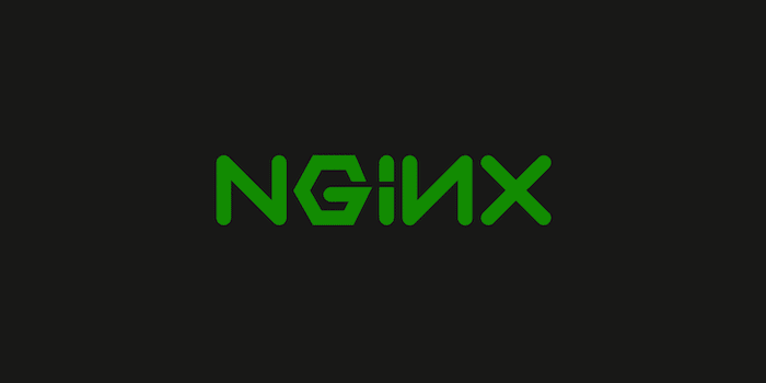 The NGINX logo.