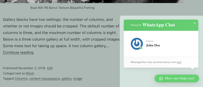 The WhatsApp chat window.