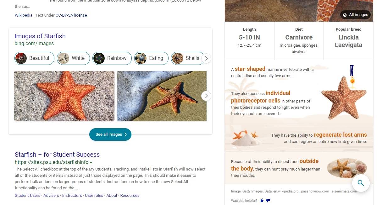 Is Bing Better Than Google Infographic Panel Results
