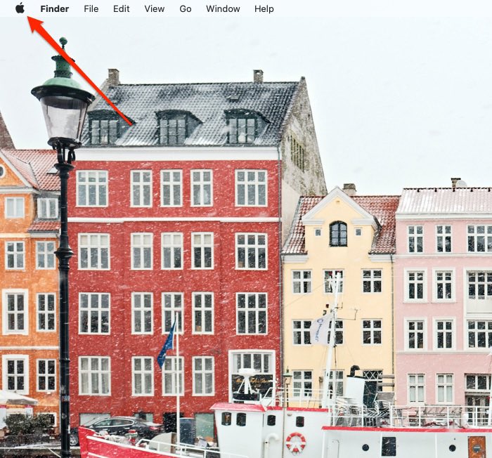 Apple Logo Icon Option