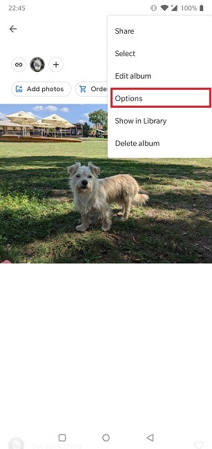 Disable Link Sharing Google Photos Android Options Delete Link Single Image