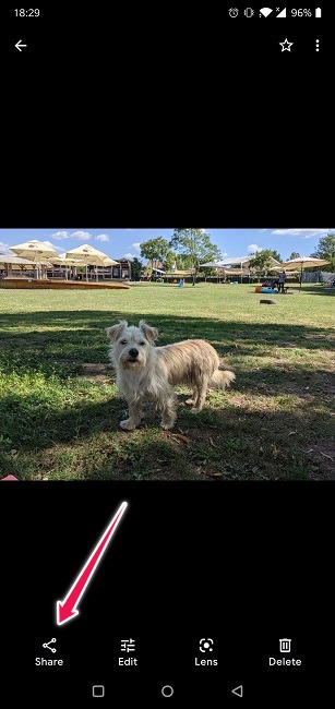 Disable Link Sharing Google Photos Android Share Image