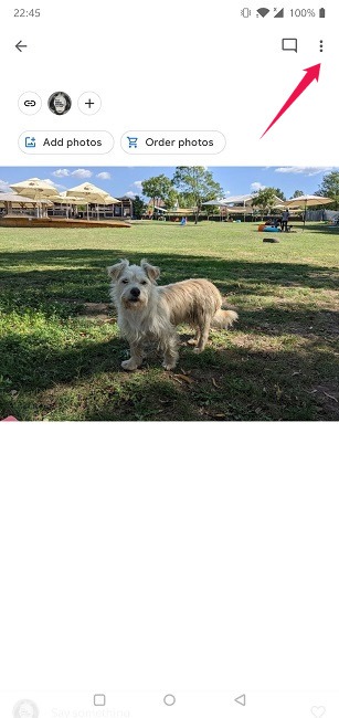 Disable Link Sharing Google Photos Android Three Dot Menu Delete Link Single Image