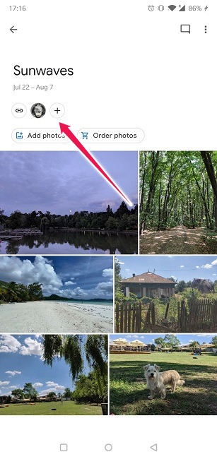 Disable Link Sharing Google Photos Invite To Album Android Plus Button